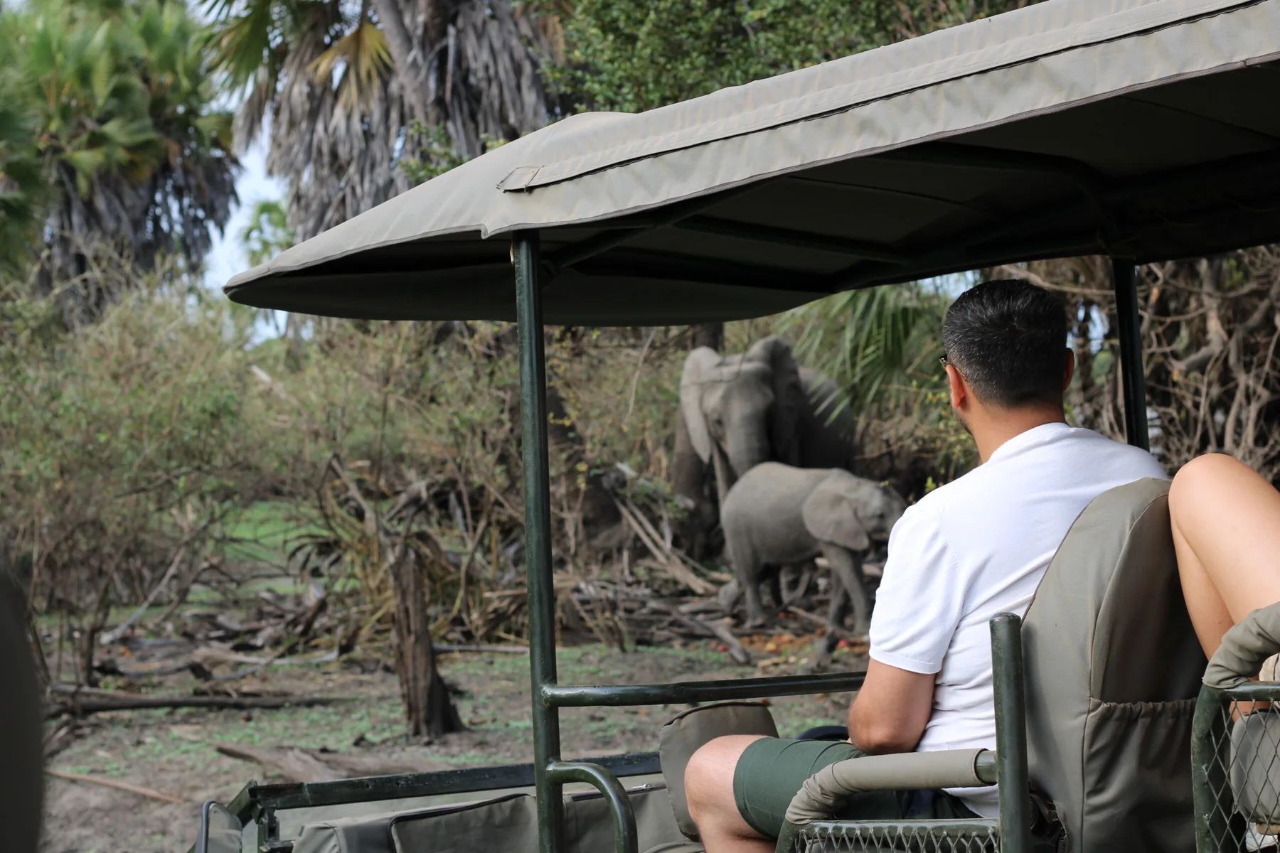 3-Day Nyerere Safari