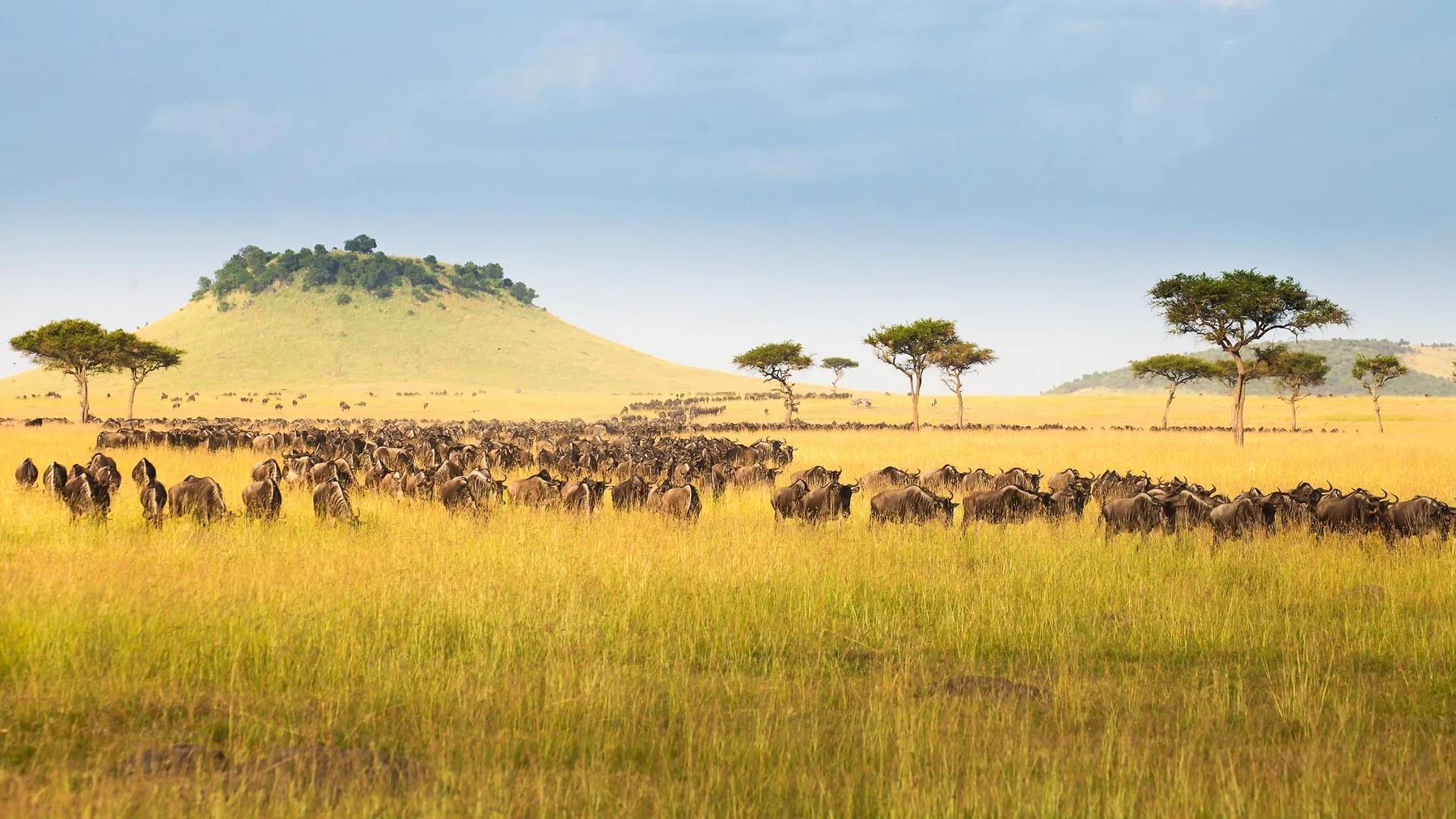Great Migration safari in the Serengeti