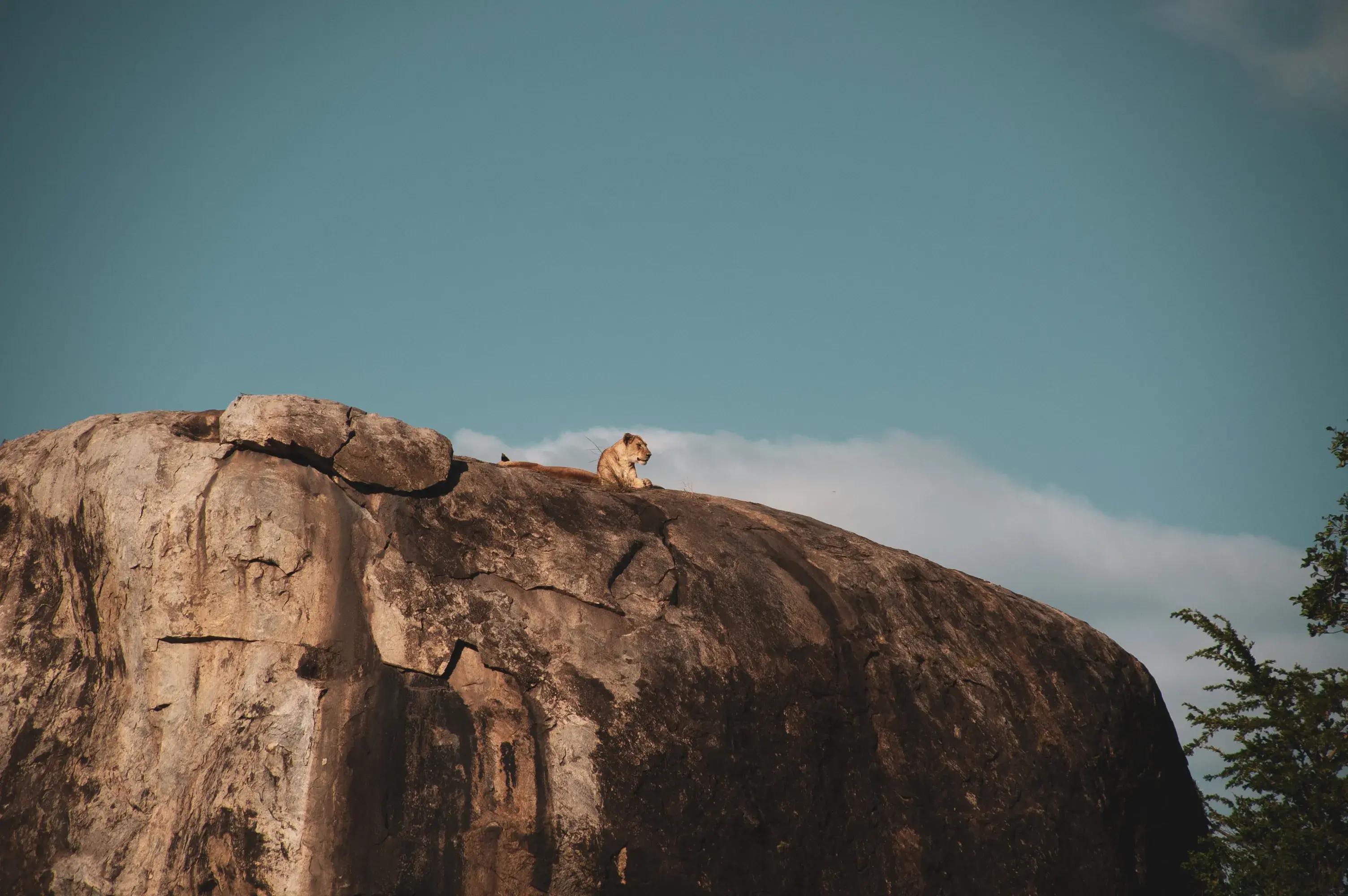 Southern Tanzania Tours